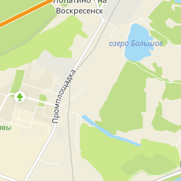 Чемодурово воскресенск карта